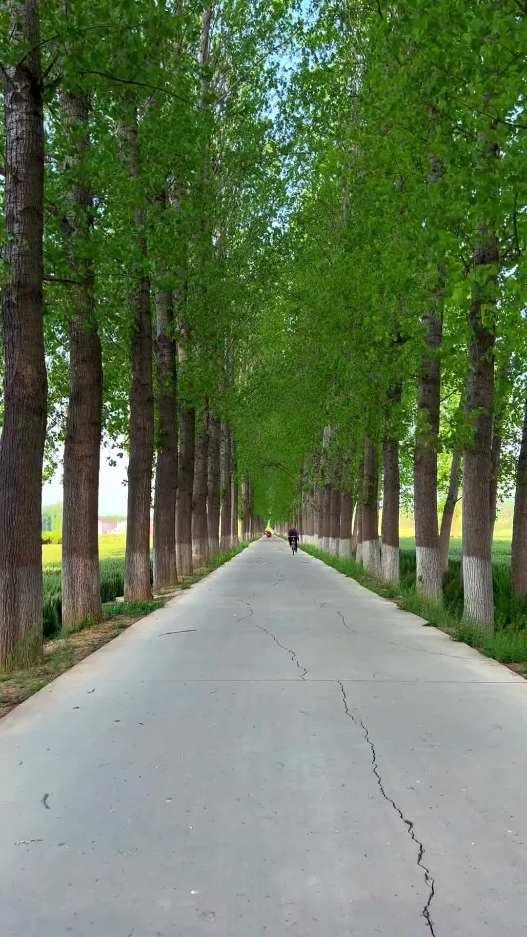 闻闻泥土麦田的芳香，听听鸟叫，呼吸新鲜的空气