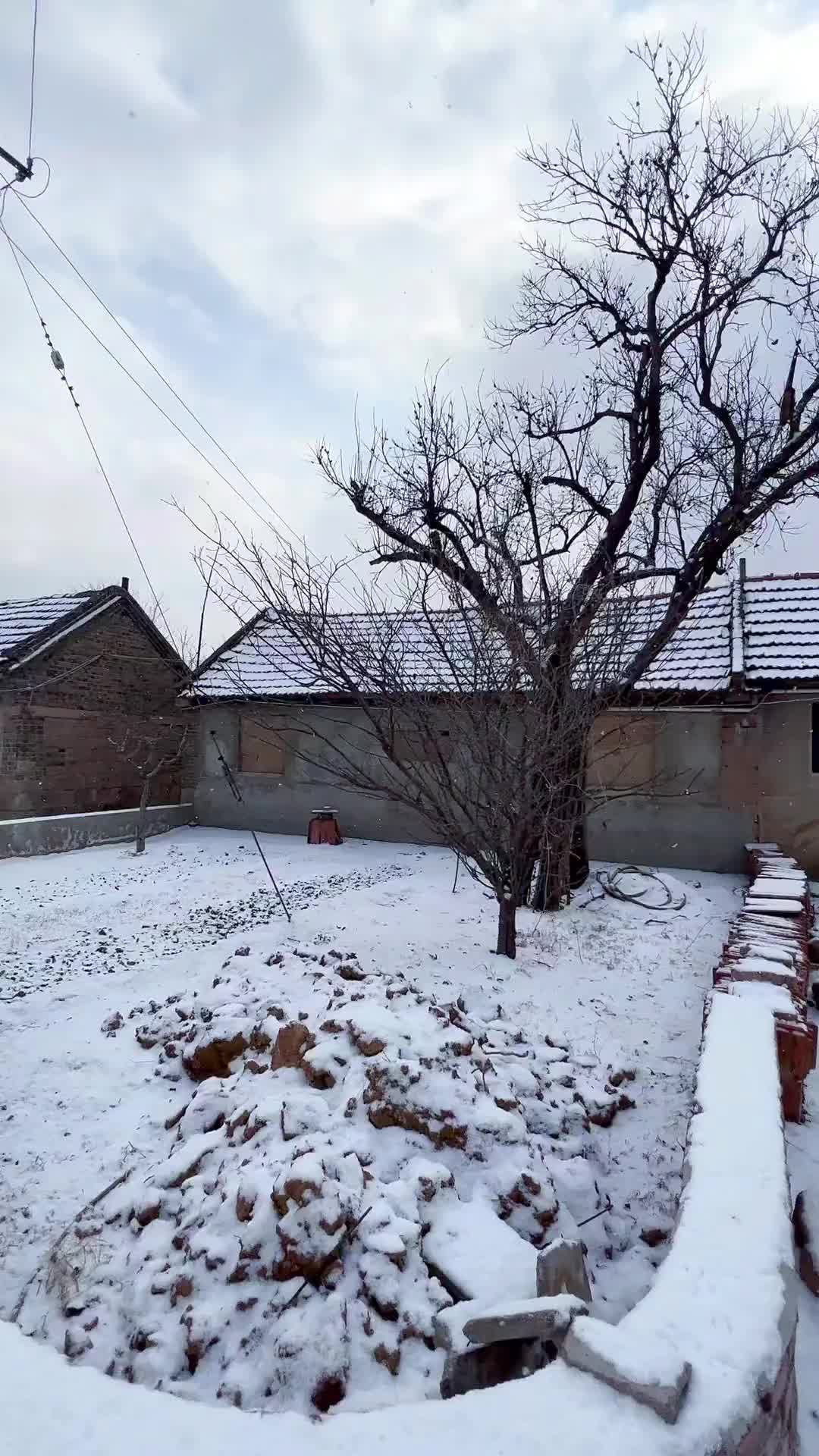 邻居定居在外，常年不回来，突然叫我拍他家下雪视频给他看看，想起一首诗：他乡纵有当头月，不抵家乡一盏灯