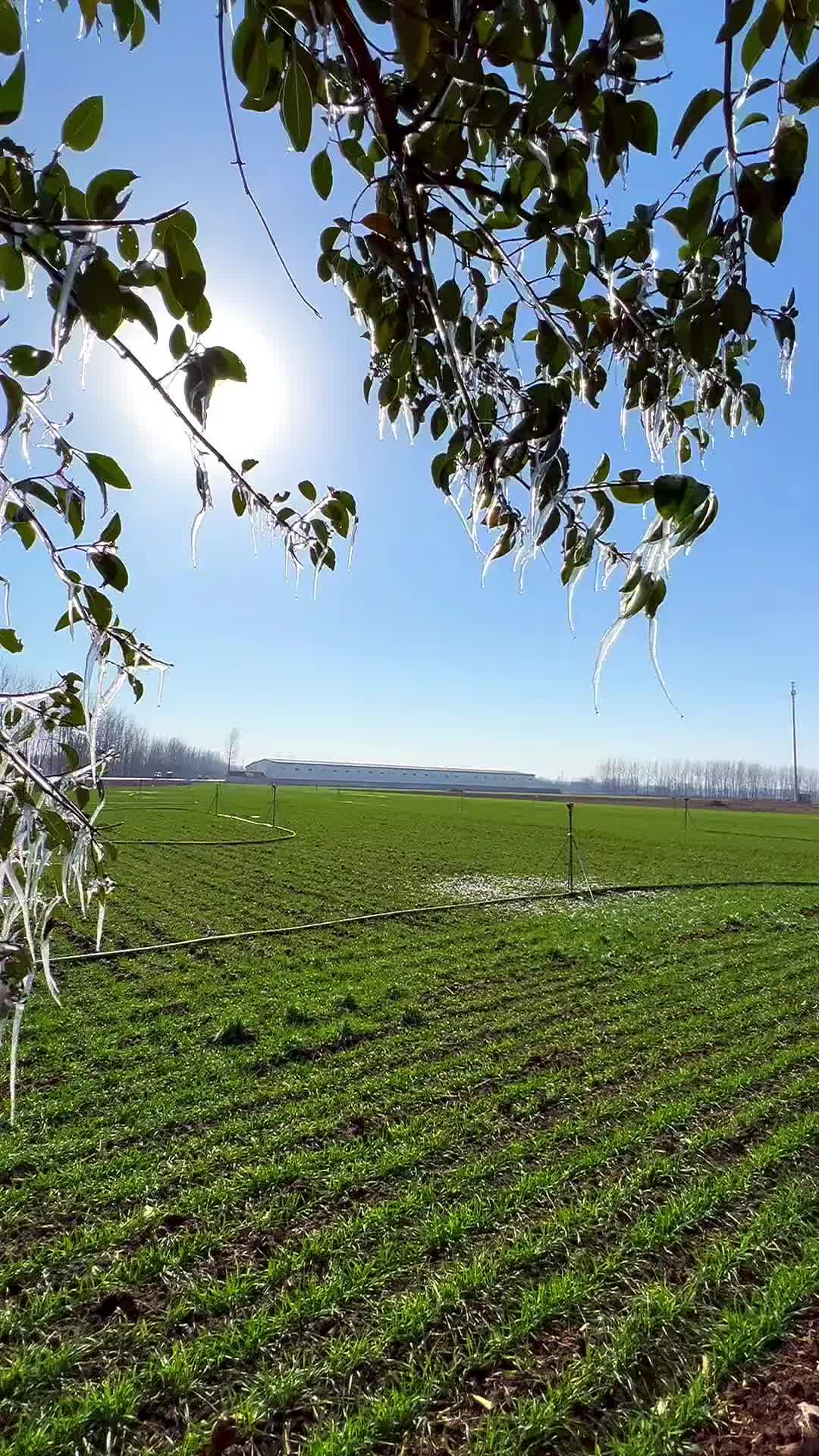 一年又一年时光流逝，积累的仿佛只有年龄，小时候盼着过年