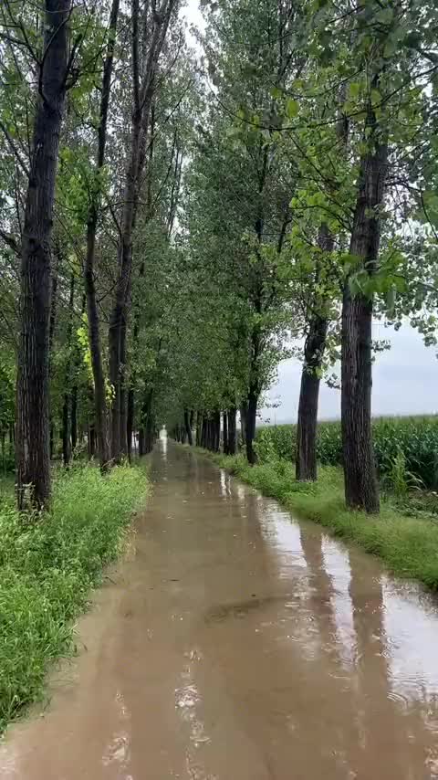 秋的味道写在风里，留在雨里，人生的故事写在四季里，留在光阴里