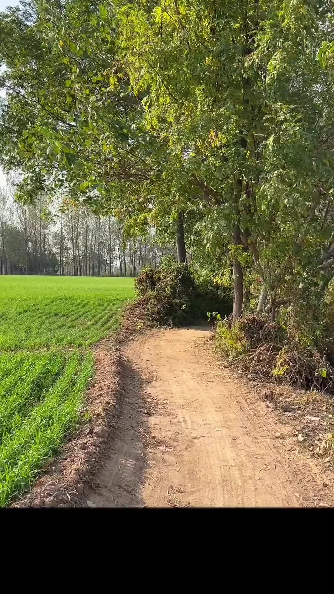 顺着这条小路一直走，能走回童年吗…