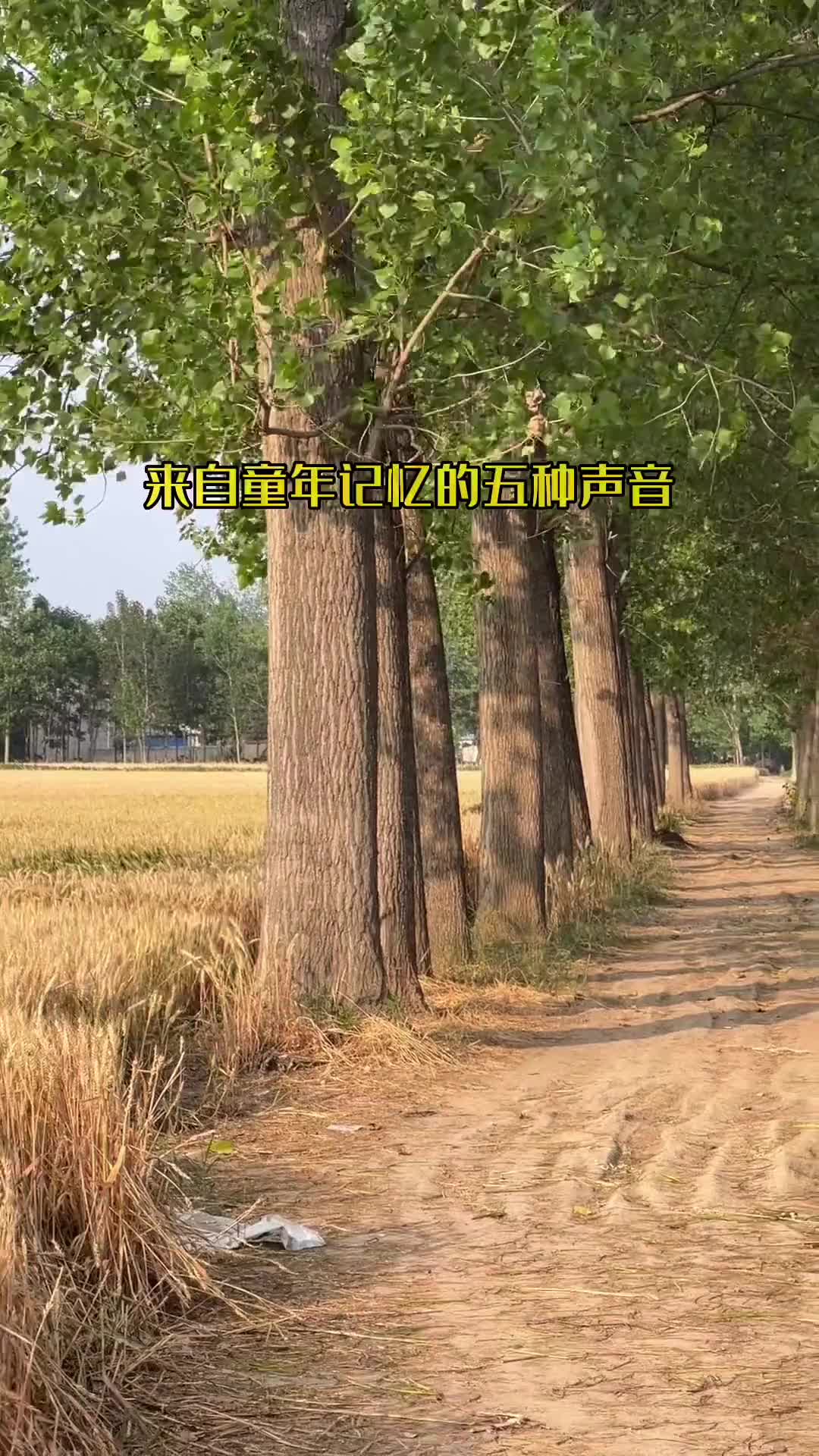 童年记忆里的声音又在耳边响起，你多久没有听过了？