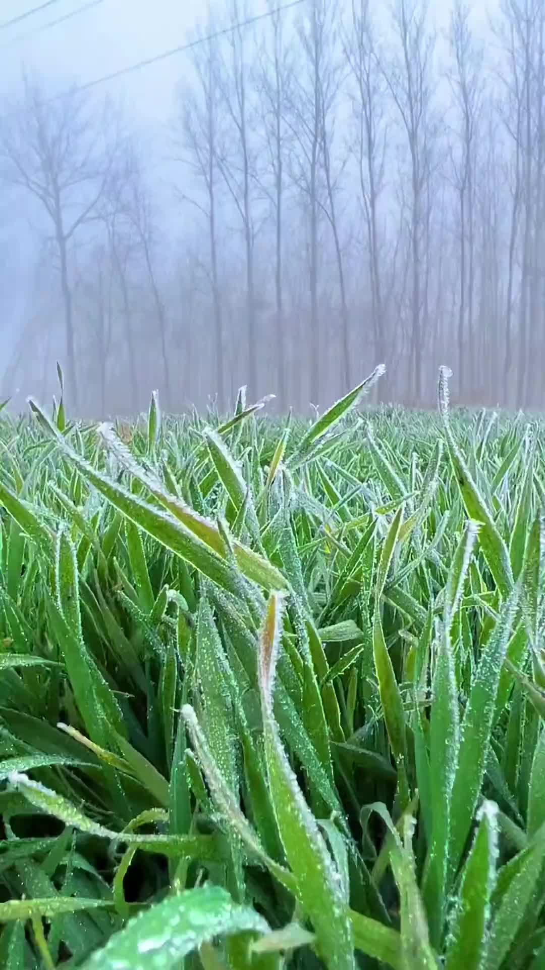 我们总是在冬天的时候怀念夏天，又在夏天的时候期待冬天