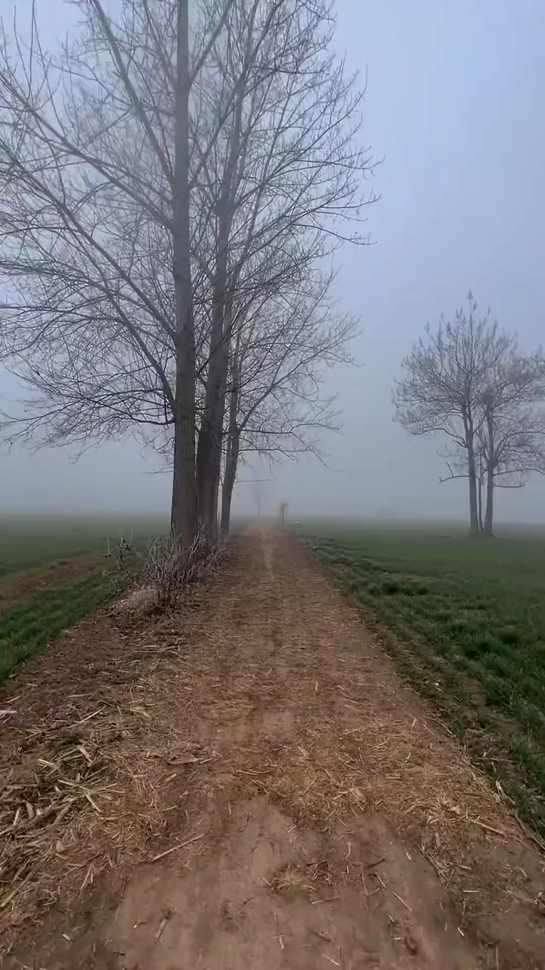 我做了一个很长很长的梦，梦里，我回到了那年最冷的冬天