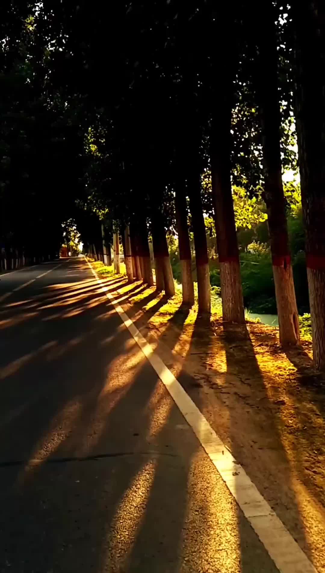 希望你不要自责，不要自我怀疑，不要不开心，大家都曾在不同的处境中辛苦着，熬过去会更好的