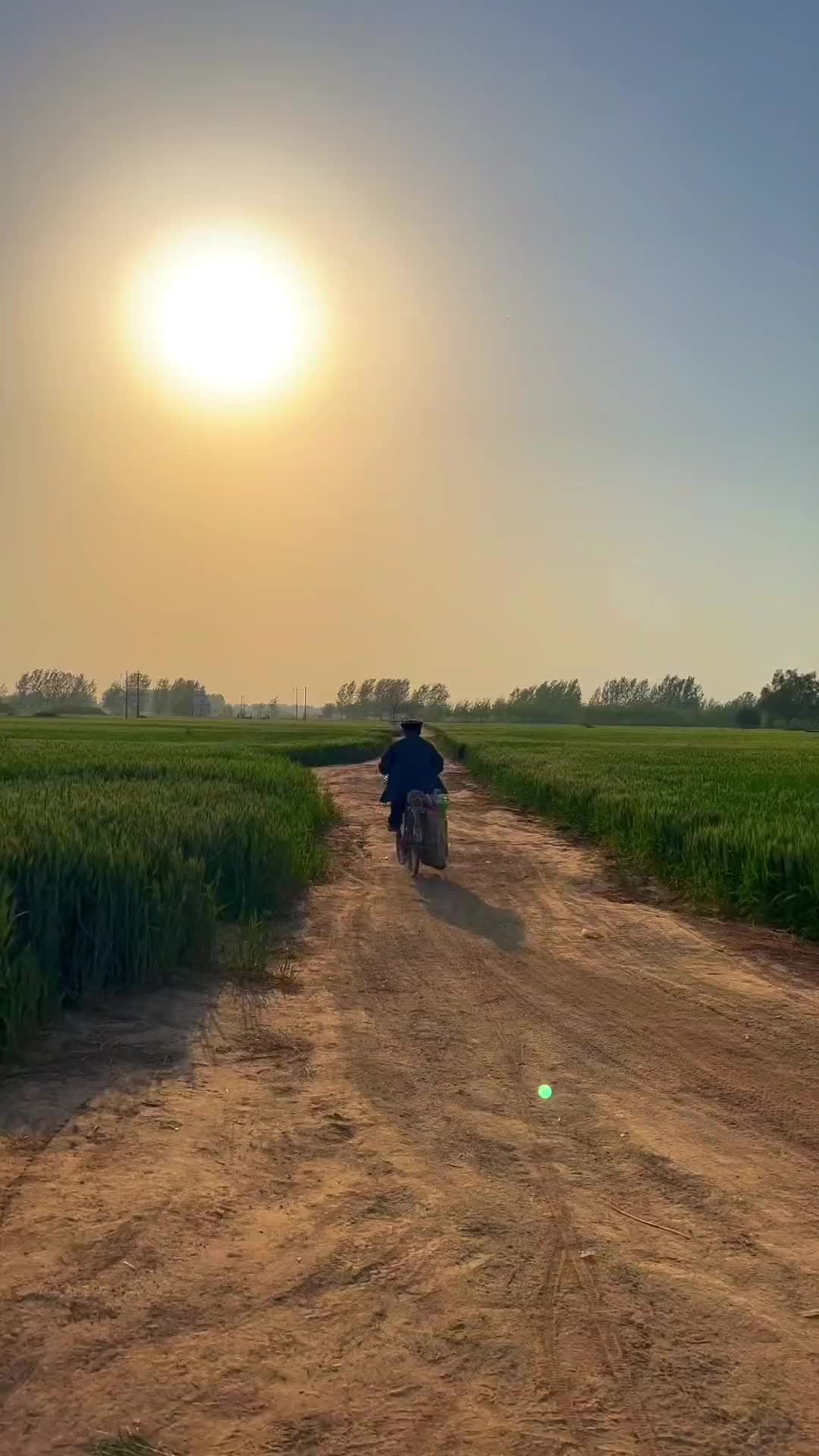 喜欢这样的小路，没有城市的喧闹声与车水马龙，只有一望无际的麦田，淳朴宁静