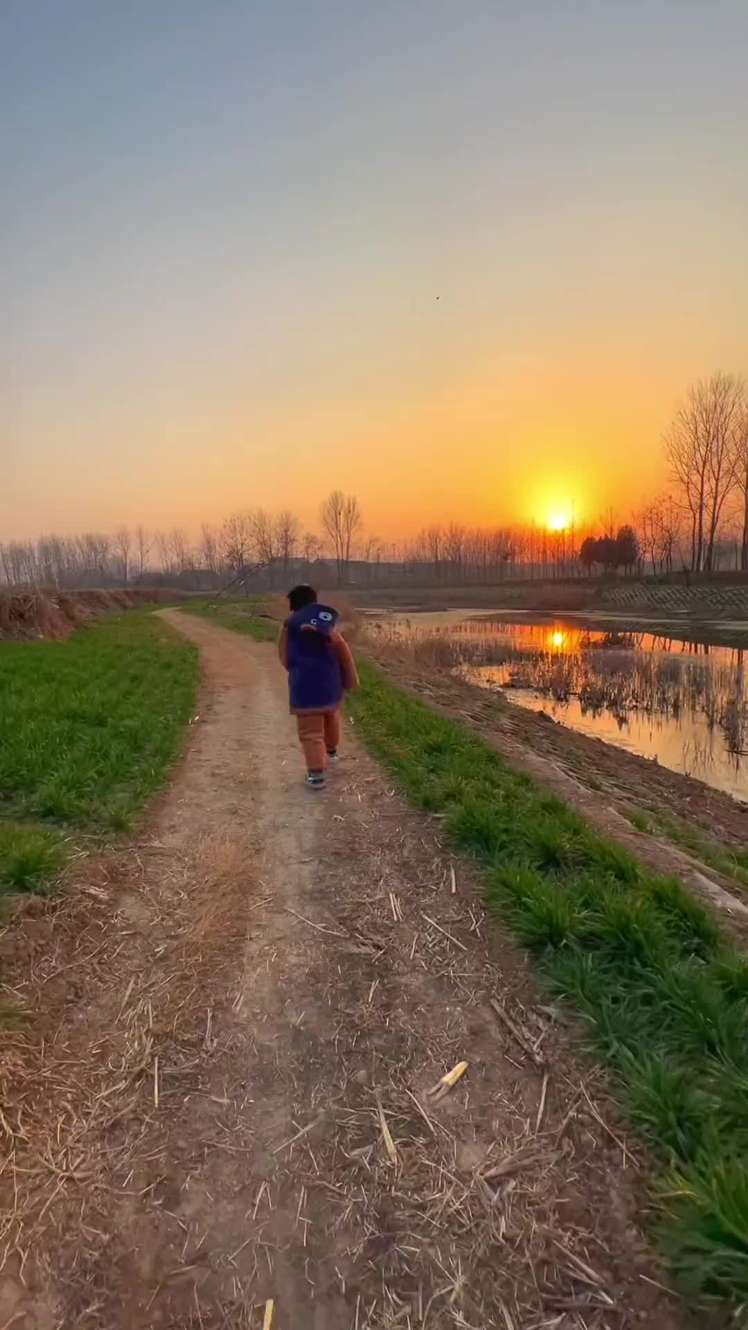 田间地头走一走 乡间小路美景