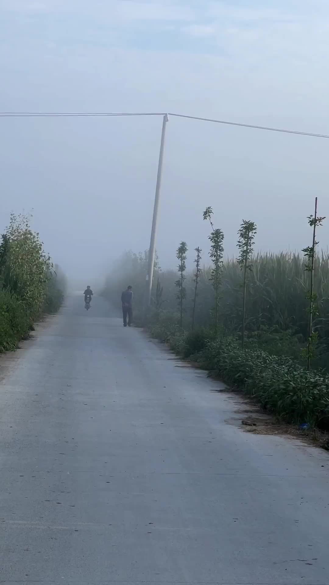 喜欢这种感觉，走在乡间小路上，没有城市的喧闹与车水马龙，连空气都是自由的，淳朴宁静