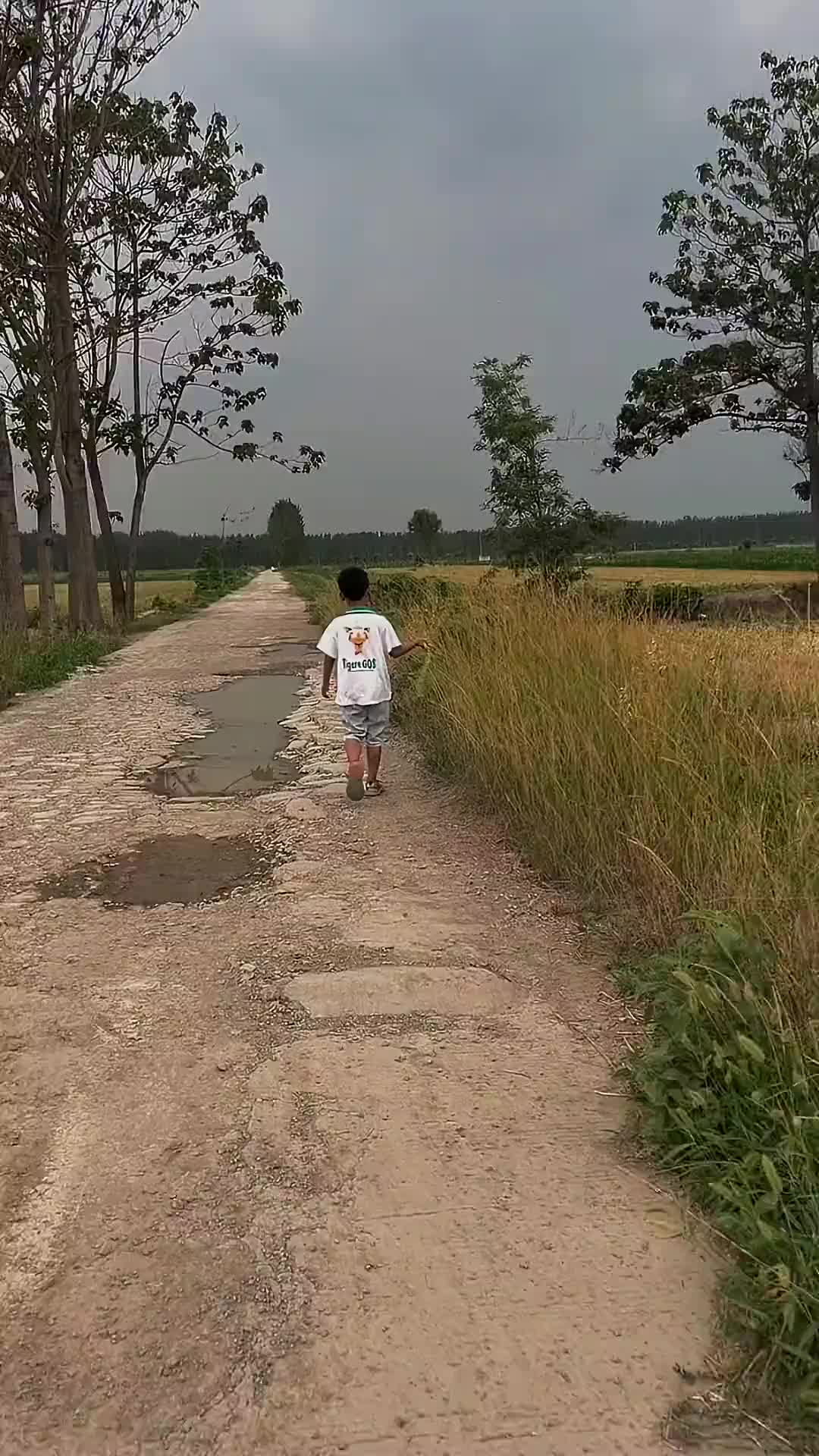 小时候，夏季很喜欢这样的天气，风很清爽也很温柔…