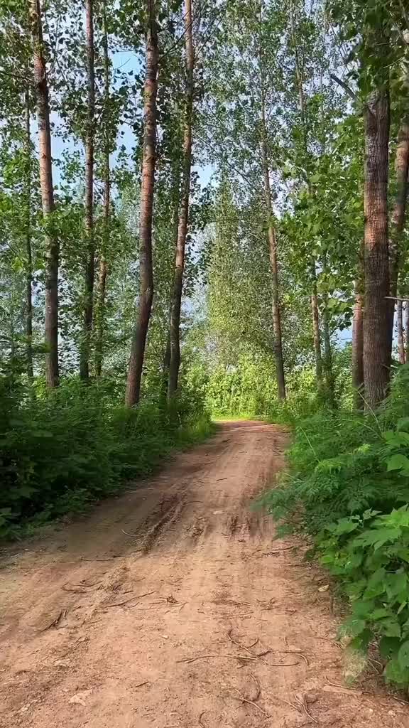 小时候，总觉得时间过得很慢，以为抓住一只蝉，逮到一只蛙，就抓住了整个夏天