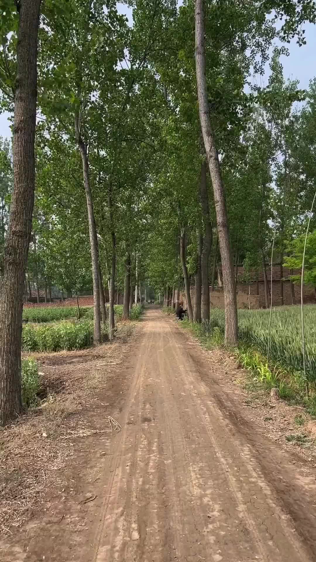 小时候拼命想逃离的地方，却是长大后最眷恋的地方