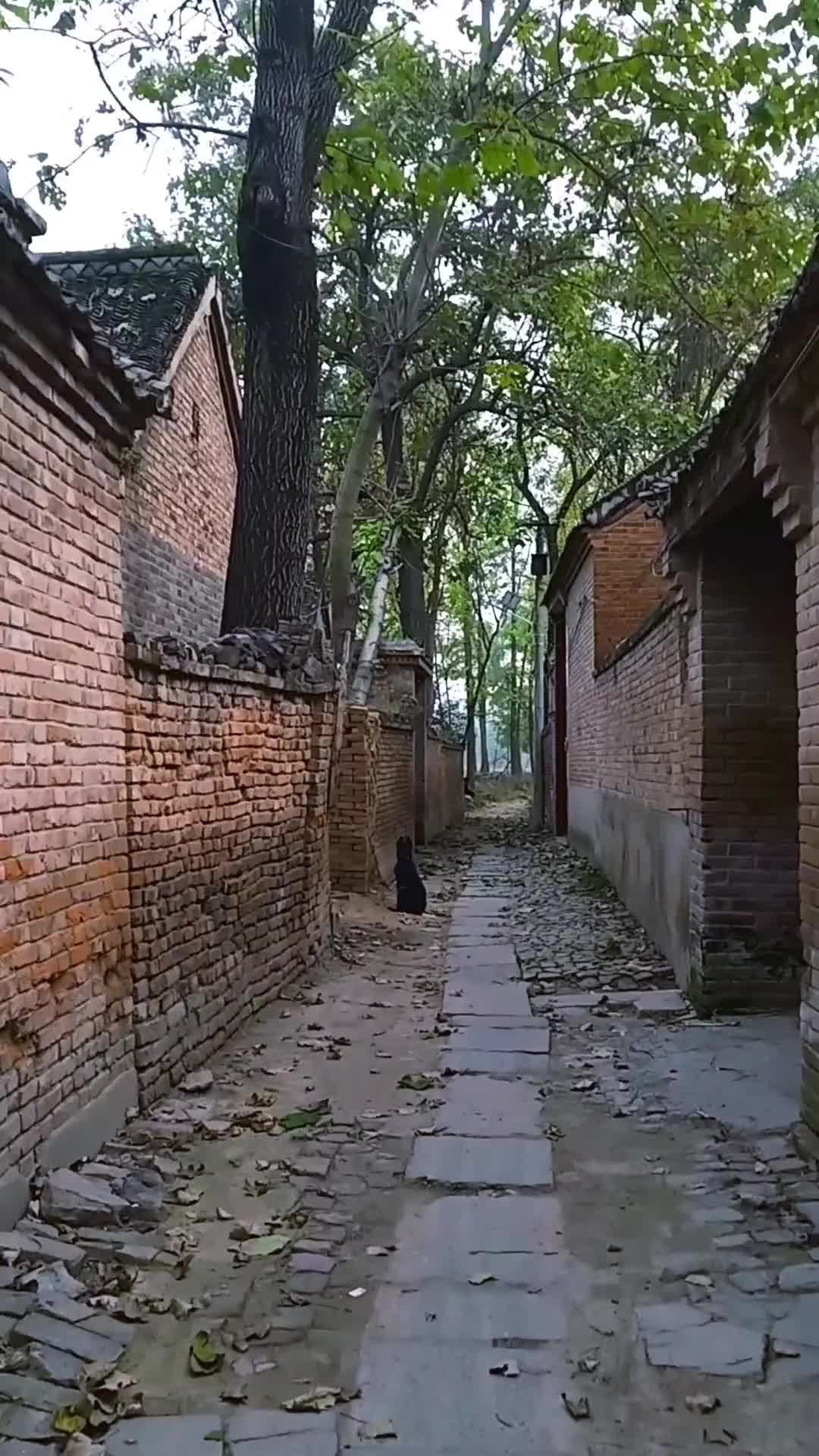 故乡的原风景