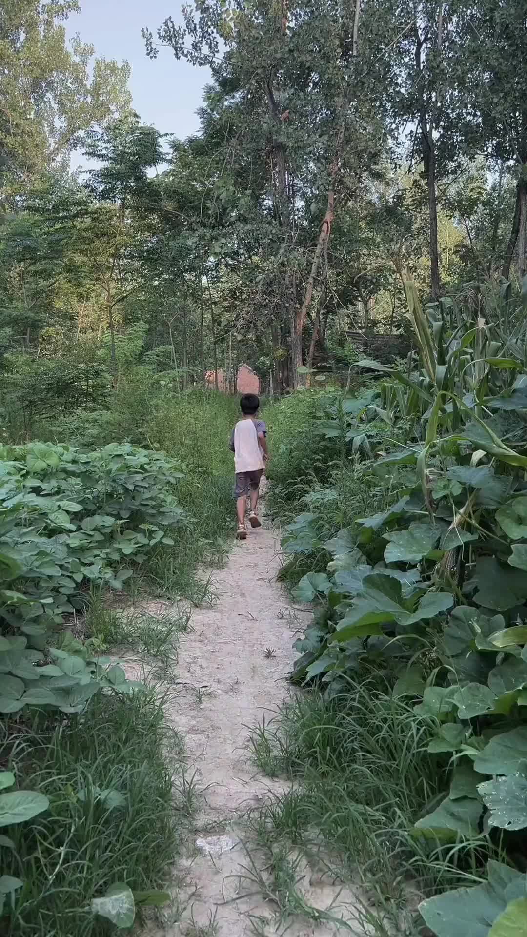 小时候真好，六七点就上床睡觉，一觉到天亮，没有噩梦，没有惆怅，没有烦心的事，也没有躺着躺着就想掉下来