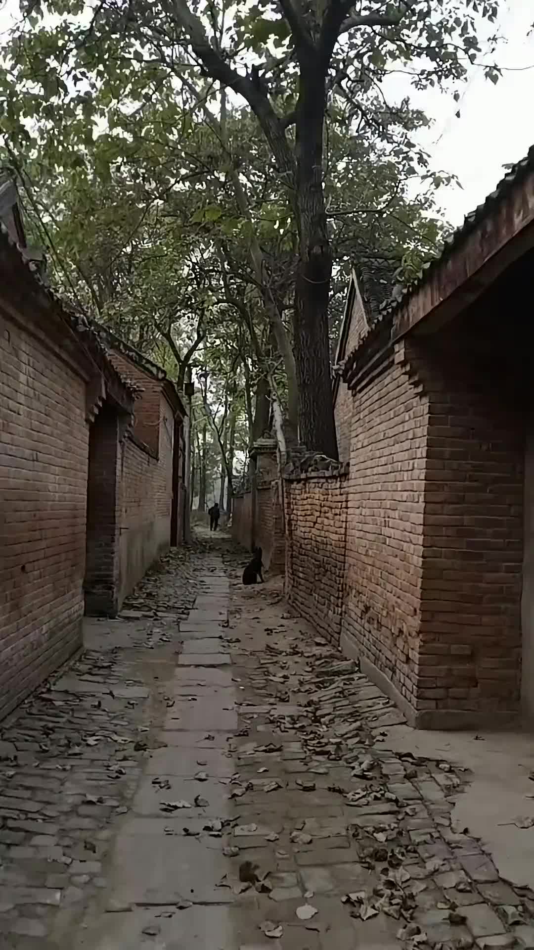 故乡的原风景