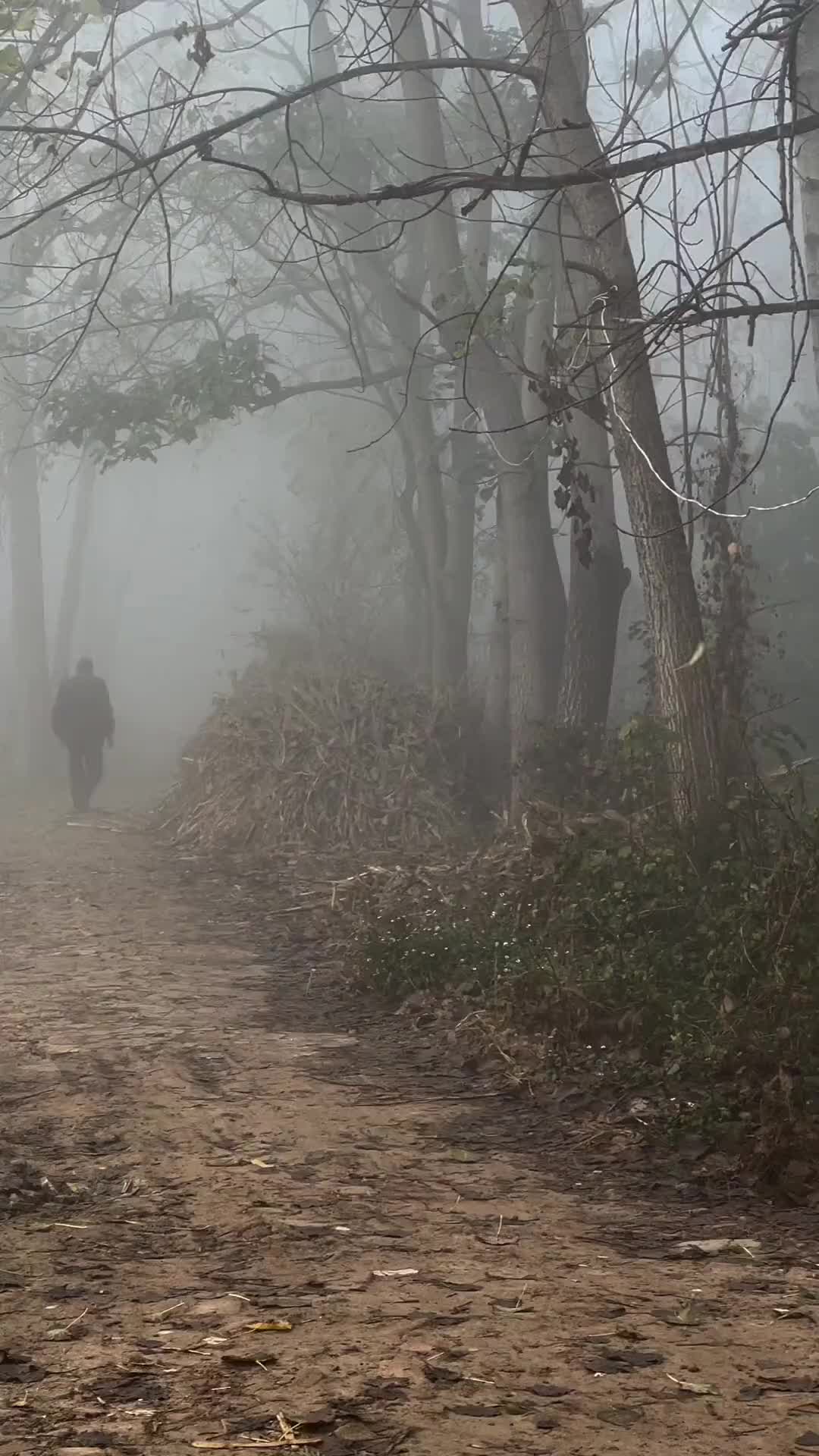 一辈子很短，短的来不及细算，童年不知不觉没了