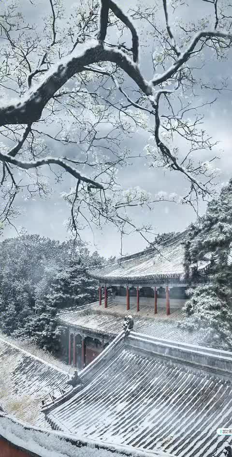 他朝若是同淋雪，此生也算共白头。 