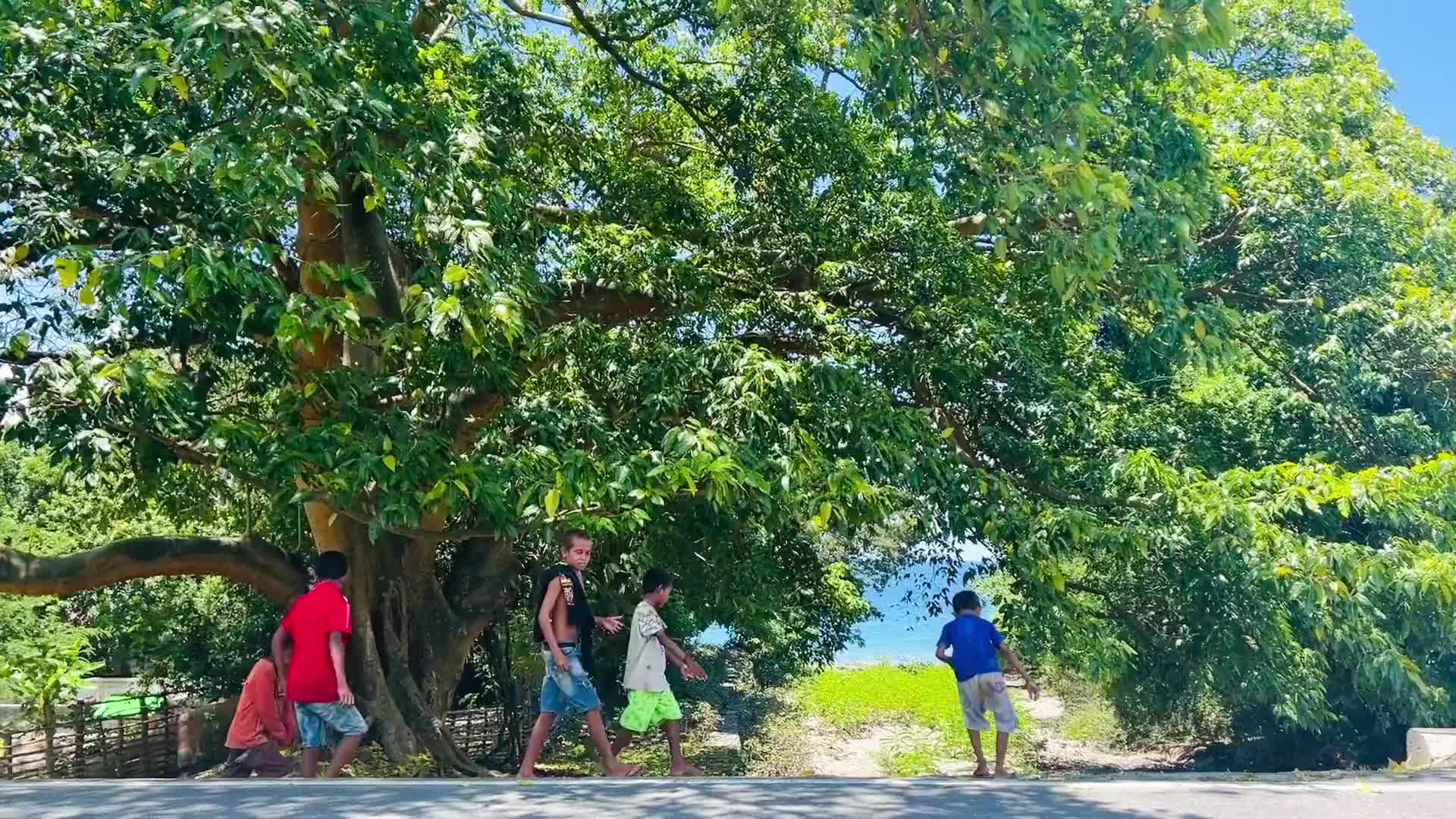 「稻香的前奏就是童年的味道」