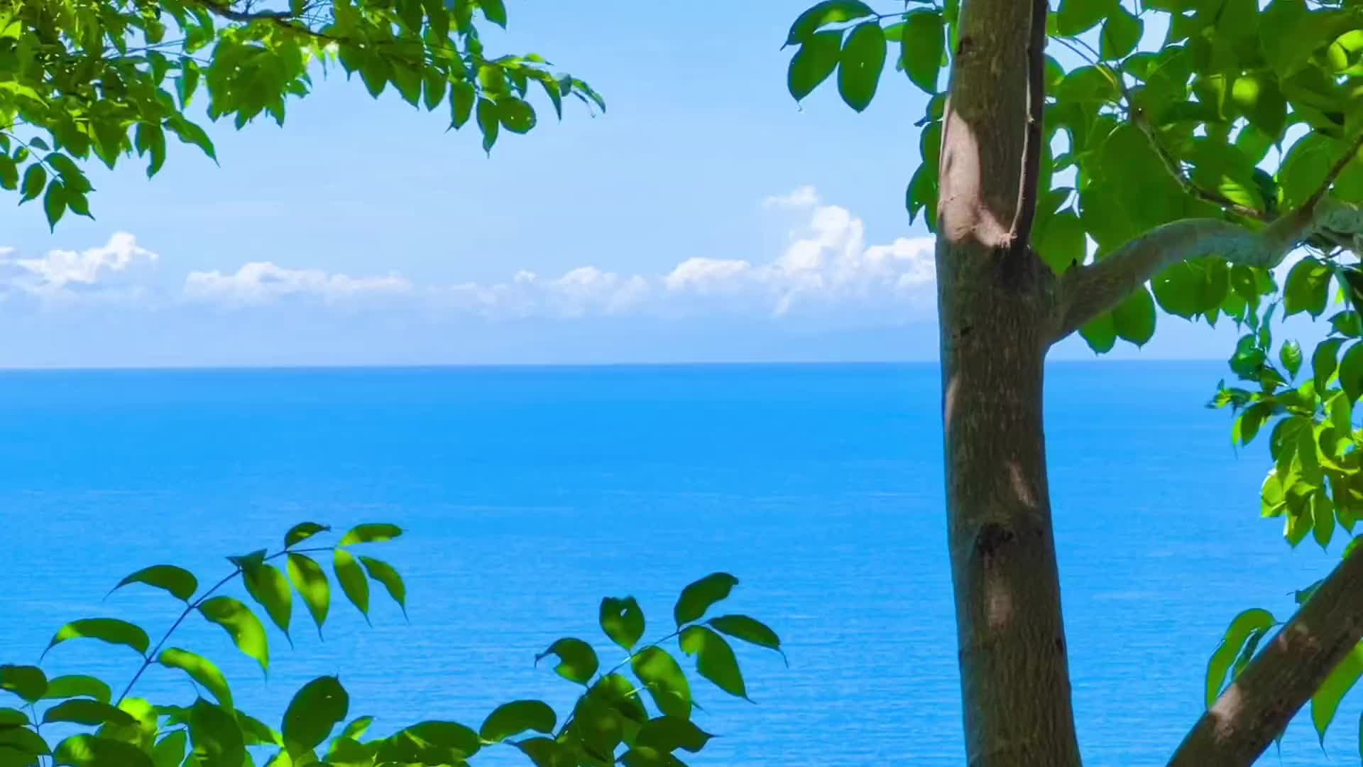 「那年夏天的那个午后」 