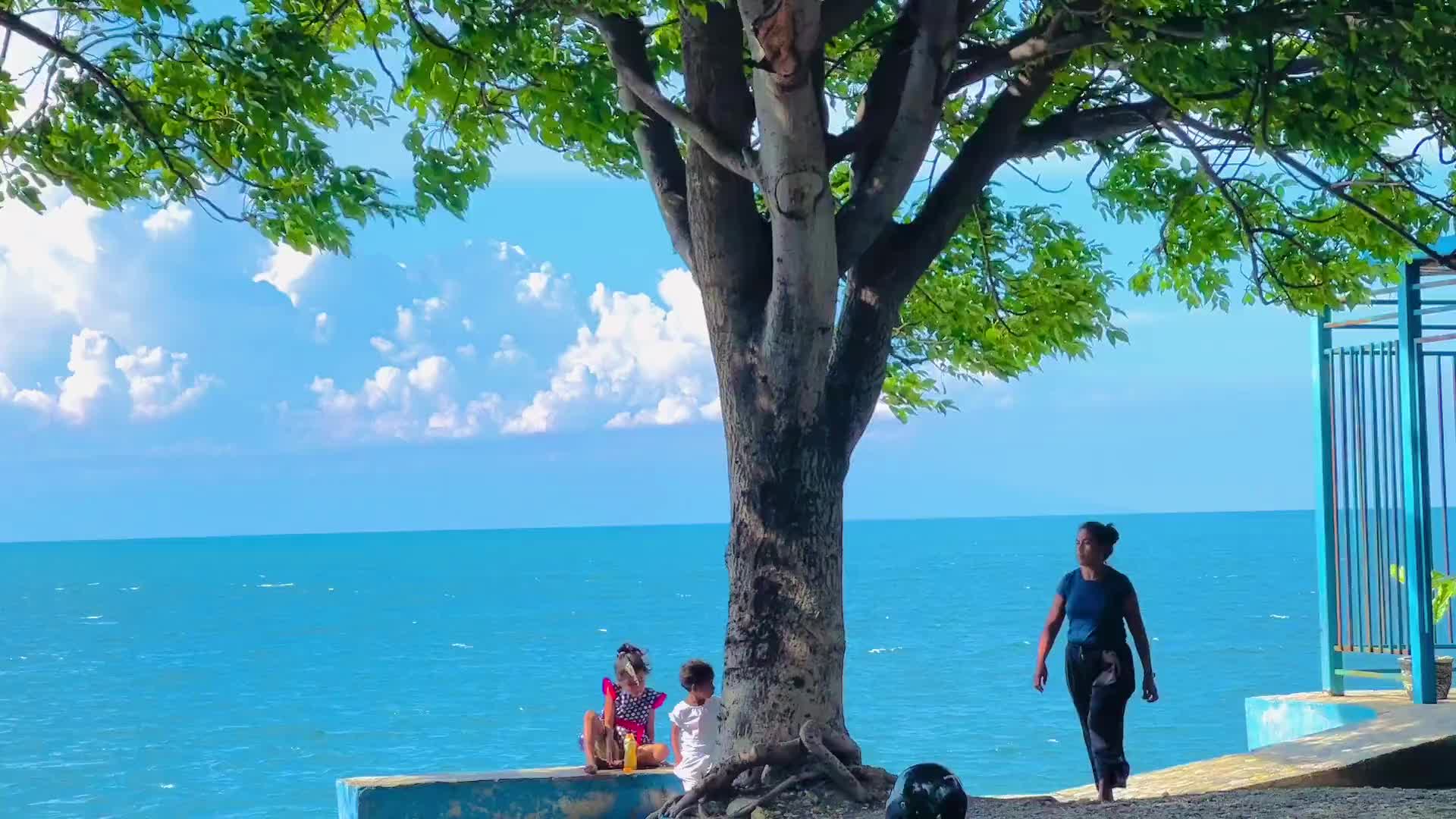 「那年夏天的一个午后」