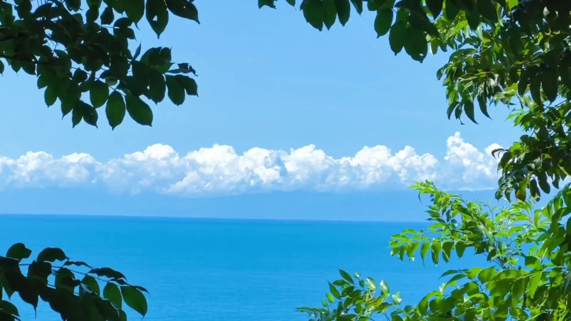 「你看. 夏天又开始野了」