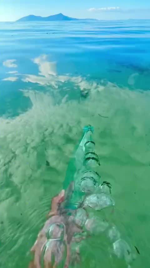  你是从哪一个视频认识我的