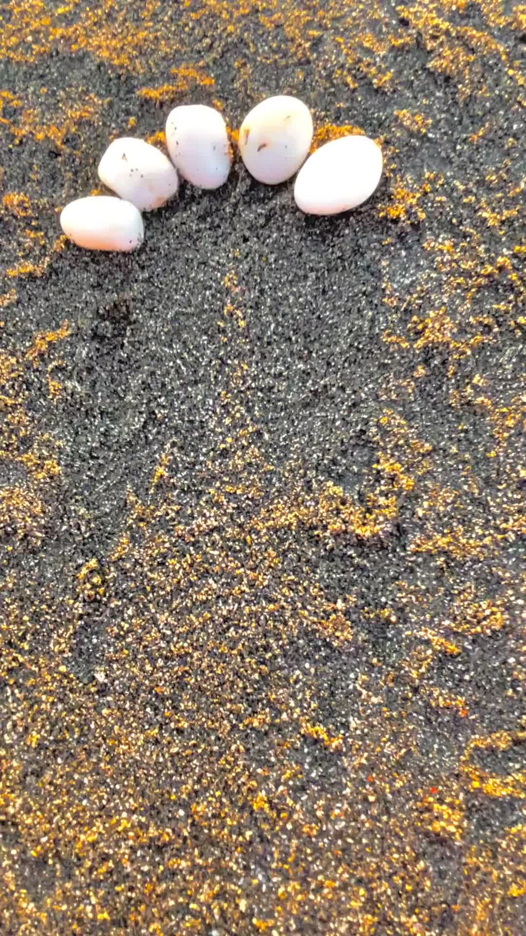 美丽的海水
