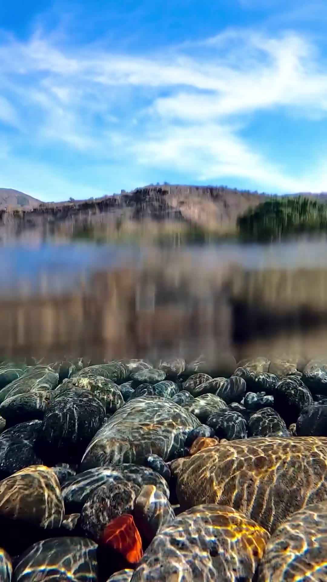 美丽的风景