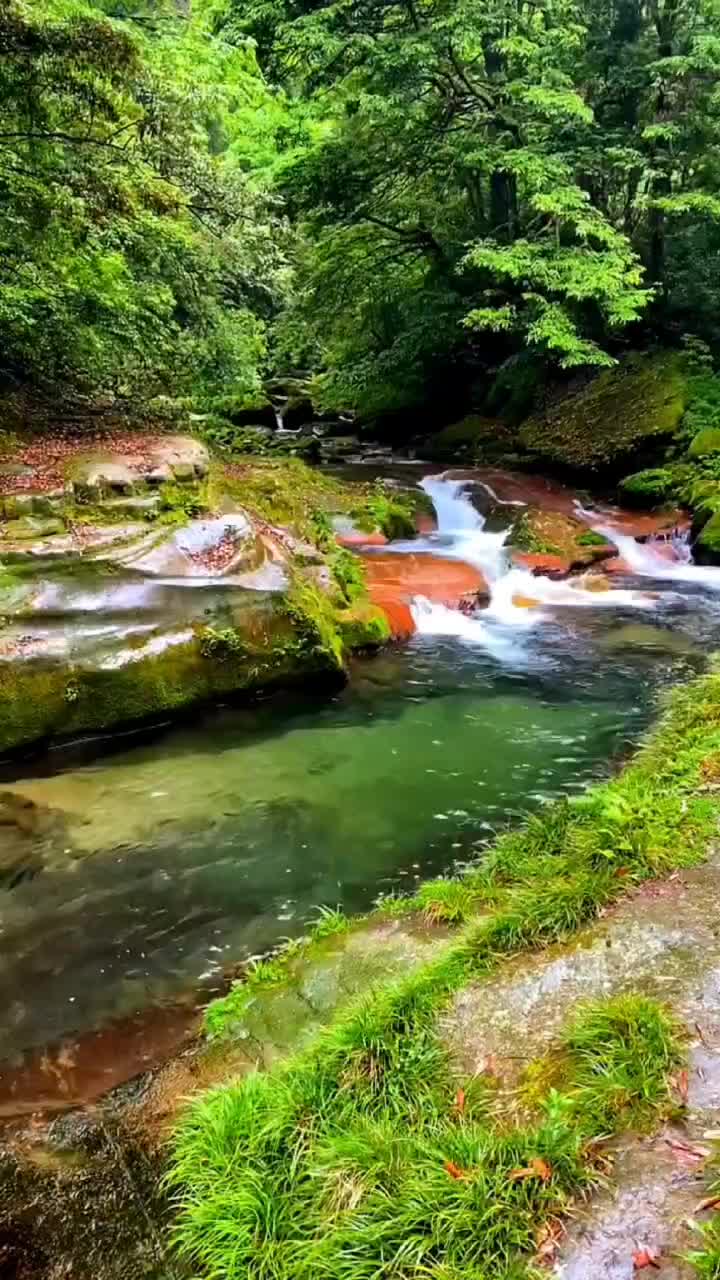 鸟语花香的怡人景色