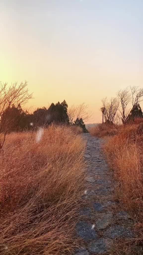 00004 冬至，幸福至！祝眉目舒展，顺祝冬安…