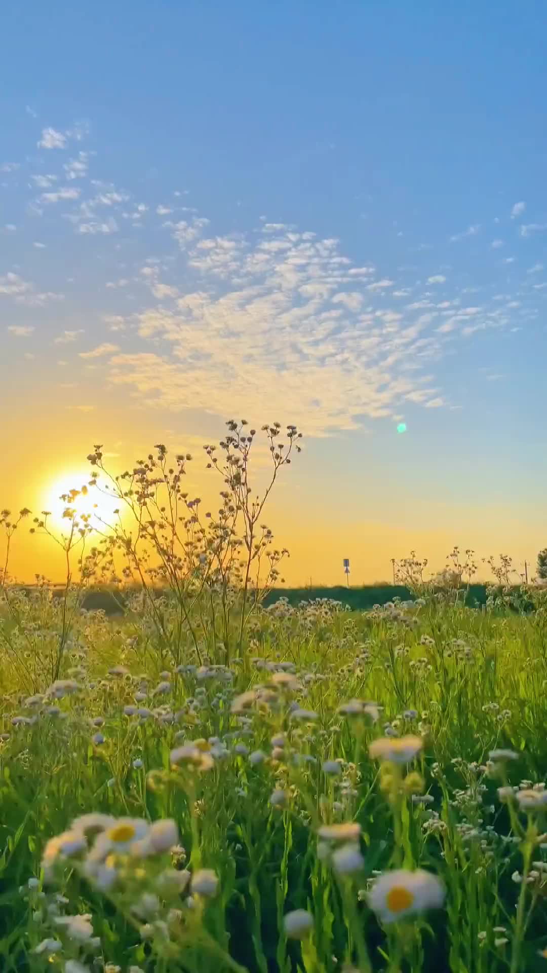  “有人希望你温柔懂事 但有人只希望你开心快乐就好