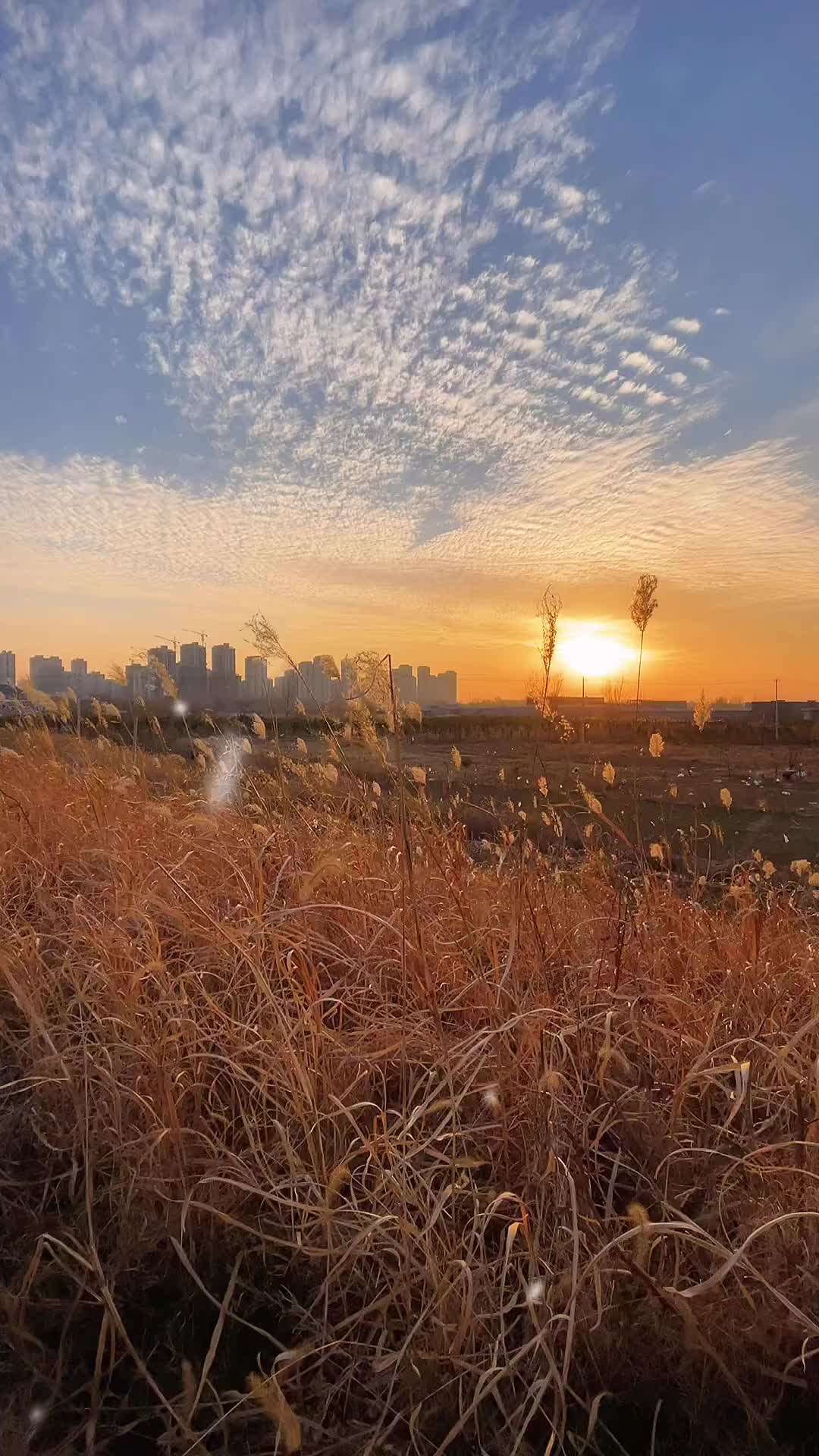 00003 冬至这一天，白昼最短，思念最长。愿你冬至，福至，健康至，幸运至。