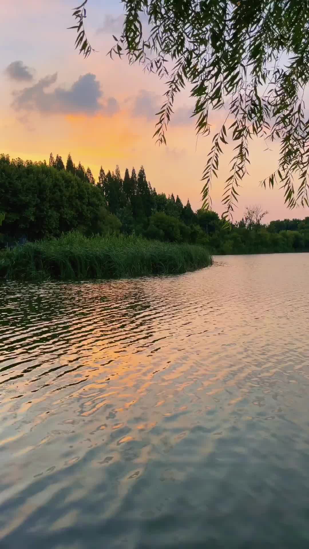 一定要珍惜抖音里不聊天，却天天给你点赞的人，不是因为你的作品有多好，而是有种感情叫做陪伴