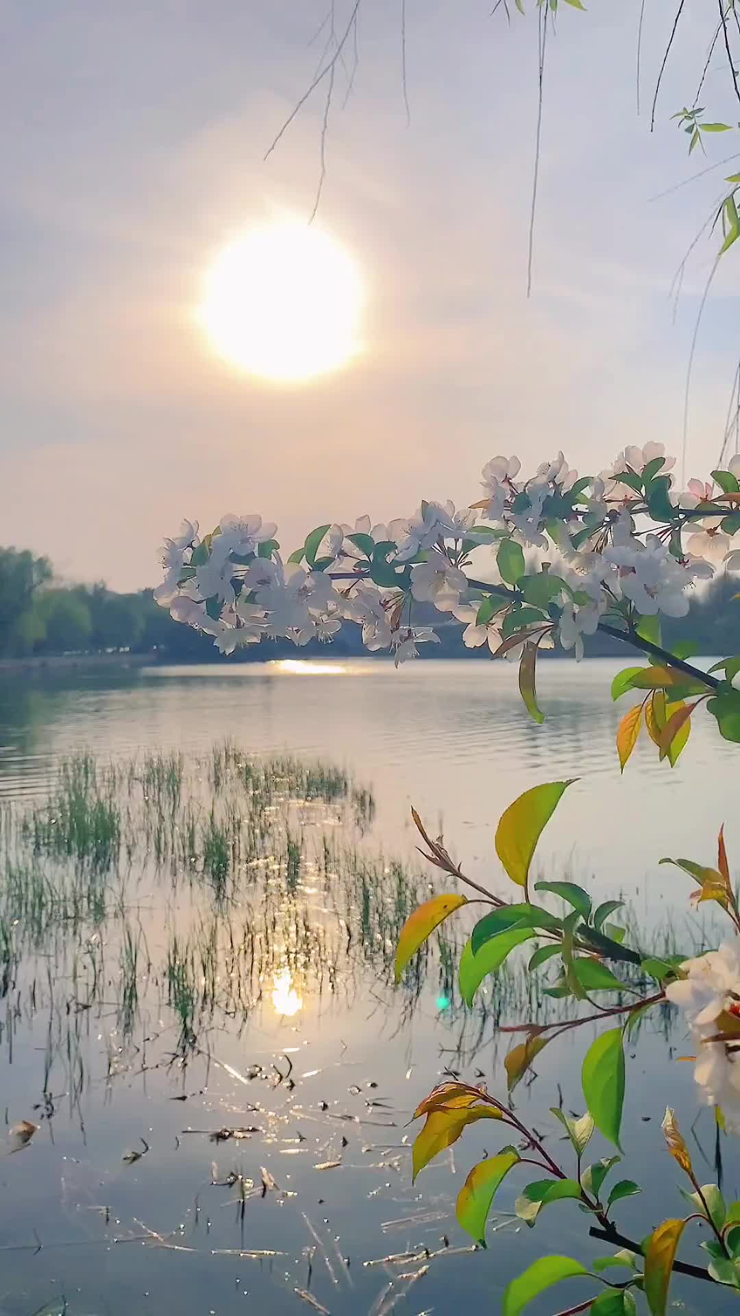 00002 “春风有信 花开有期 所有的美好都已经在路上”