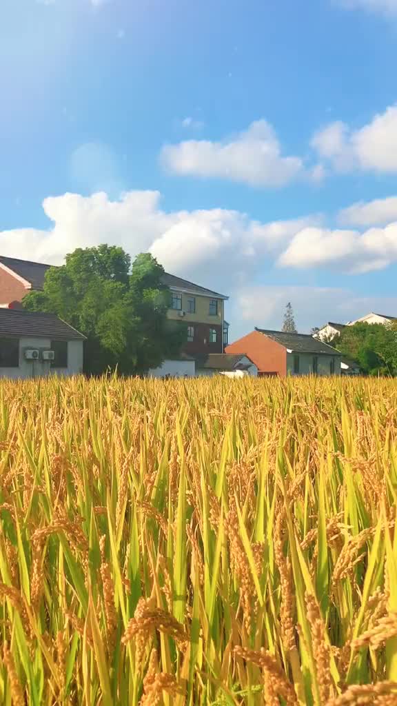 00004 虽然发抖音越来越没有意思了，但是还是忍不住想发一个。因为这里是心灵唯一一个可以释放的地方