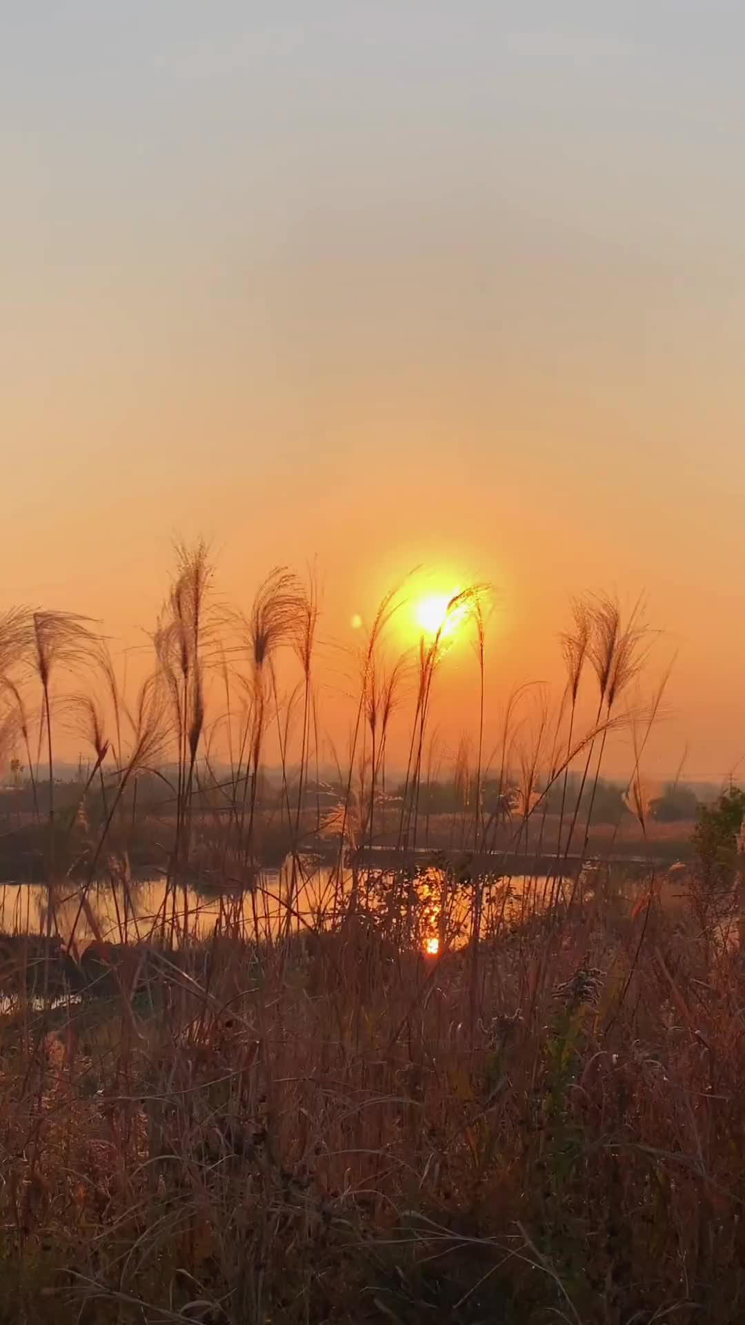 这一年好像什么都来得及，又好像什么都来不及，说真的其实挺遗憾的