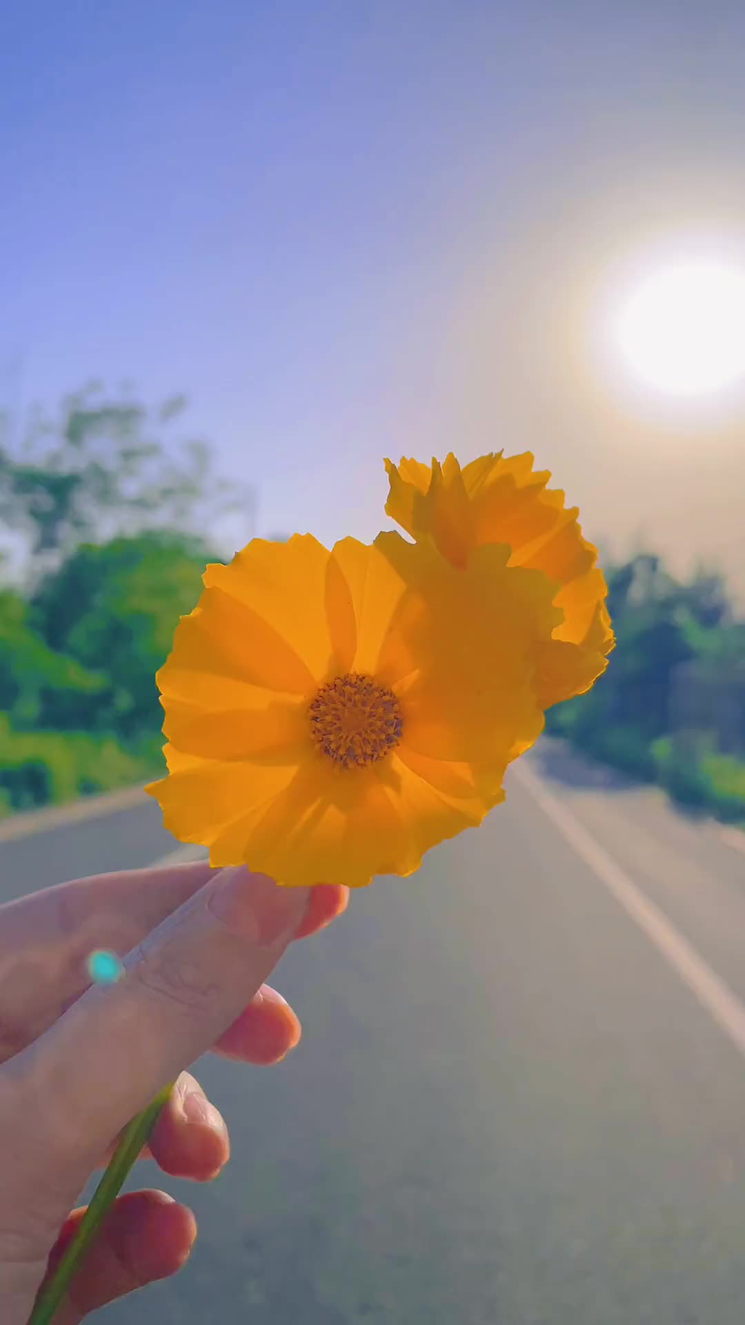 00005 明天就七夕了，不要鲜花，不要承诺，不要红包也不要礼物，只想好好拥抱一下自己，跟自己说一声