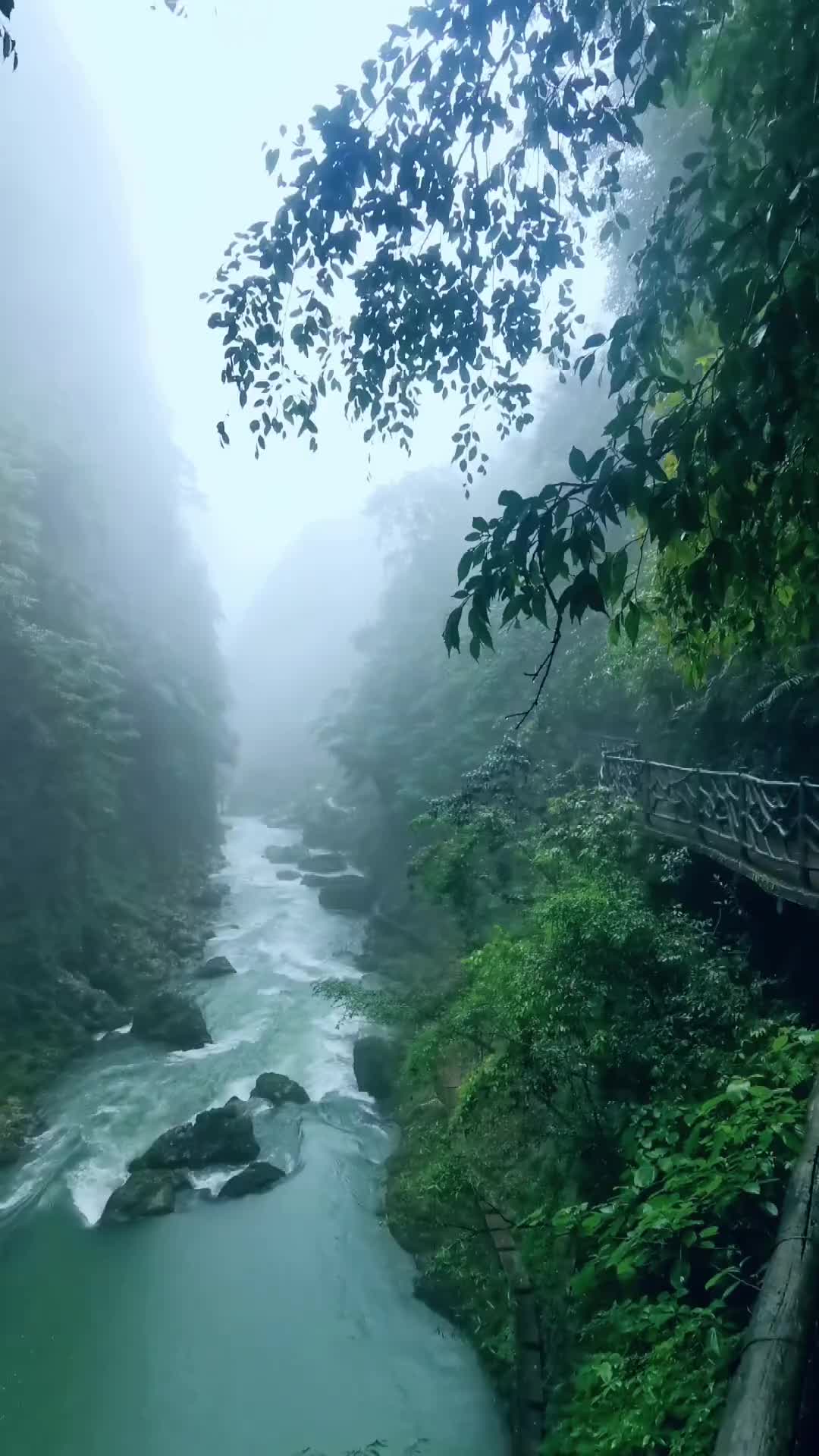 00006 我见青山多妩媚，料青山见我应如是。