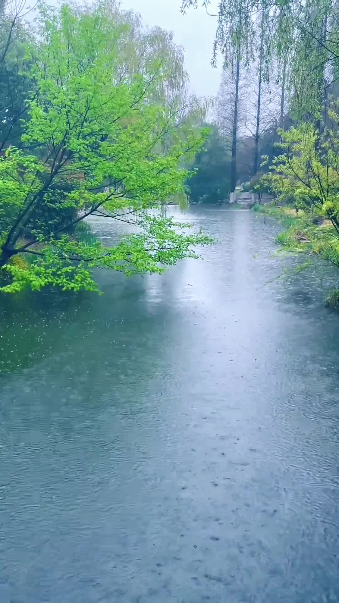 00015 下雨了，有人等烟雨，有人怪雨急，有人在等伞，有人等雨停…而我，在等你！