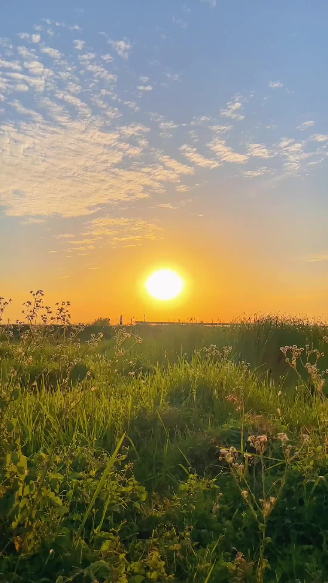 00018 秋天了，生活和朋友 越简单越好