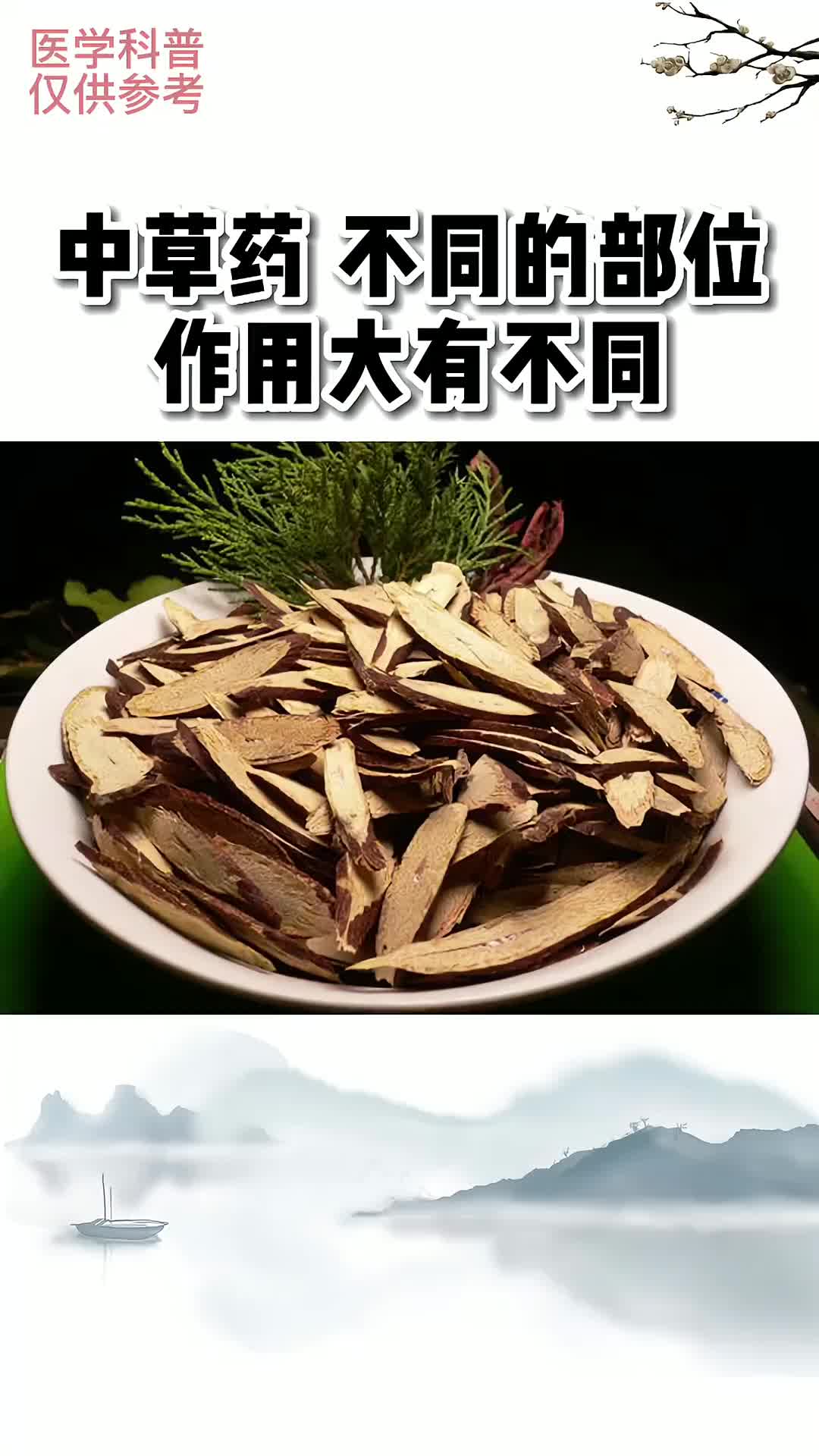 00018 中草药，同一个植物的不同部位，作用大有不同！