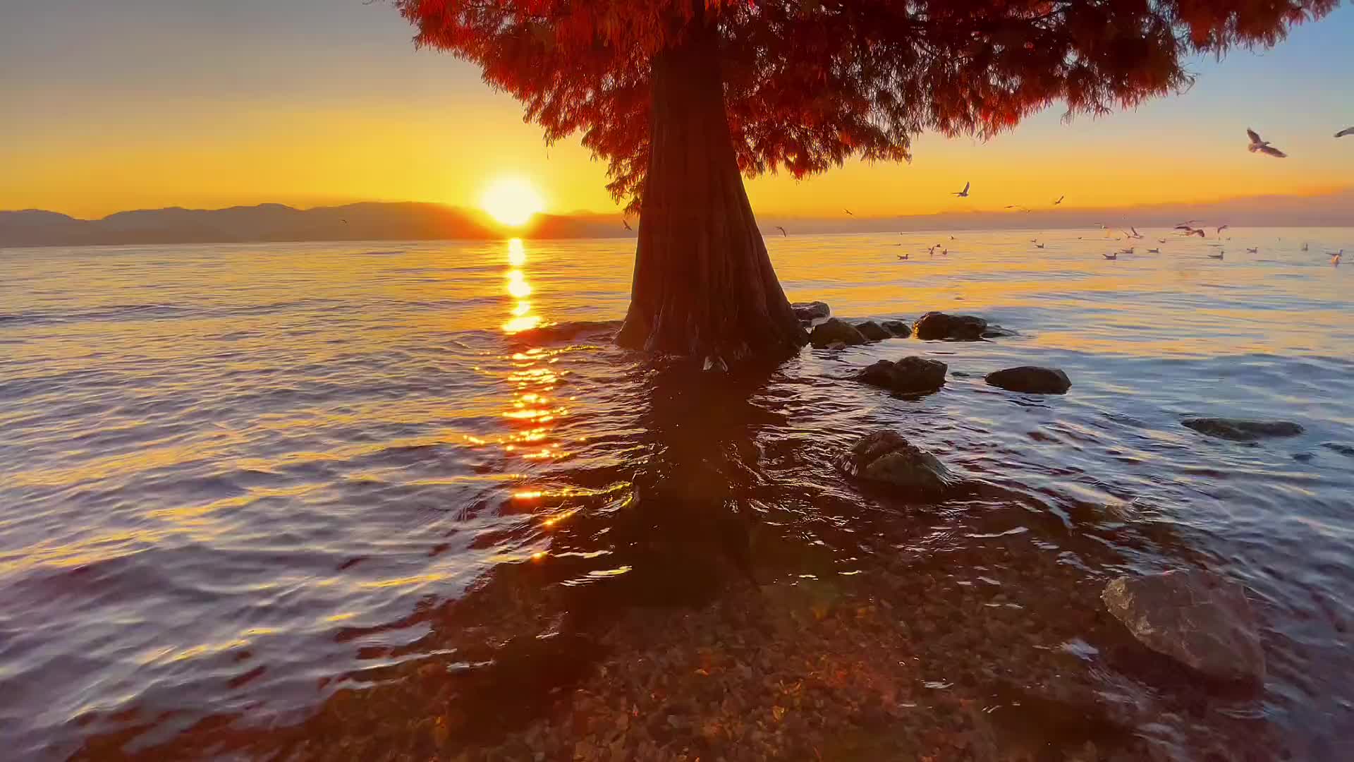 “不管前路如何坎坷，不管风雨多大，我们都应坚持最初的梦想，没有泪光，风里劲闯，怀着心中新希望