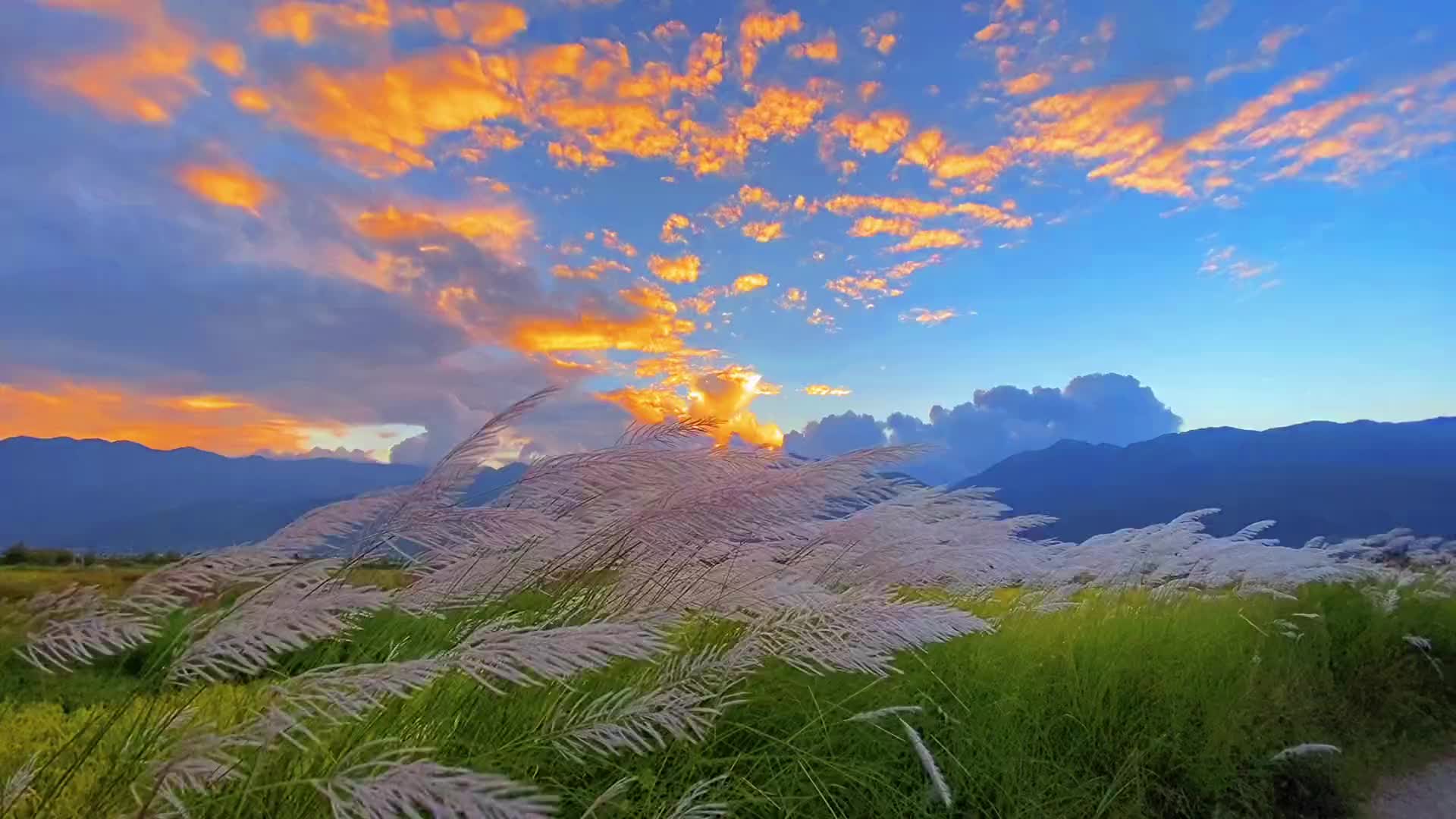 风景