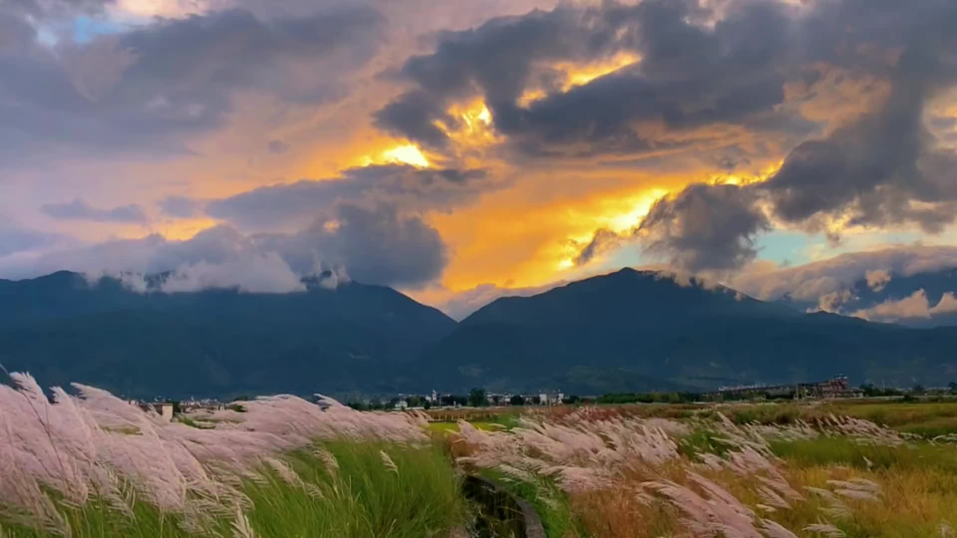 “ 秋的味道写在风里，人生的故事写在四季里，光阴摇摇晃晃，丢失的从来不是时光，而是念念不忘。”