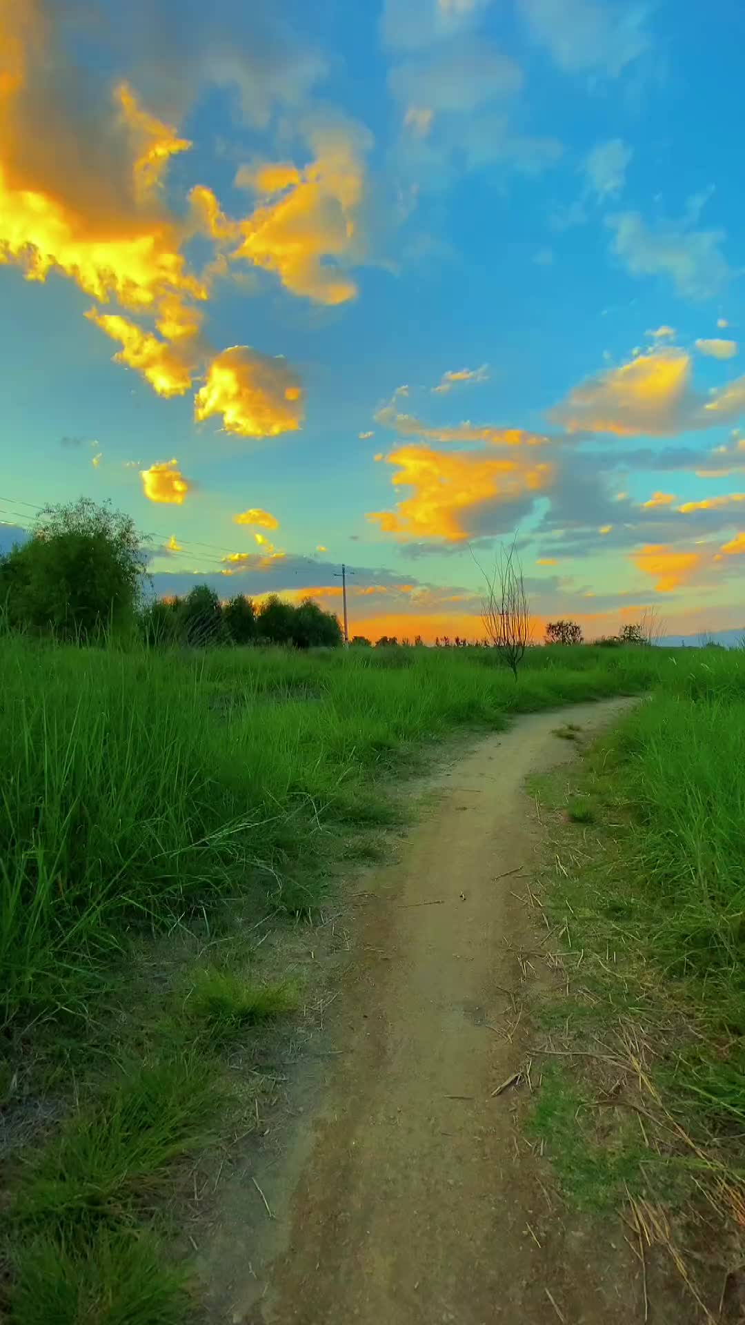 “不问结果反而一身轻松，路的尽头是什么，也许从来都不重要。”