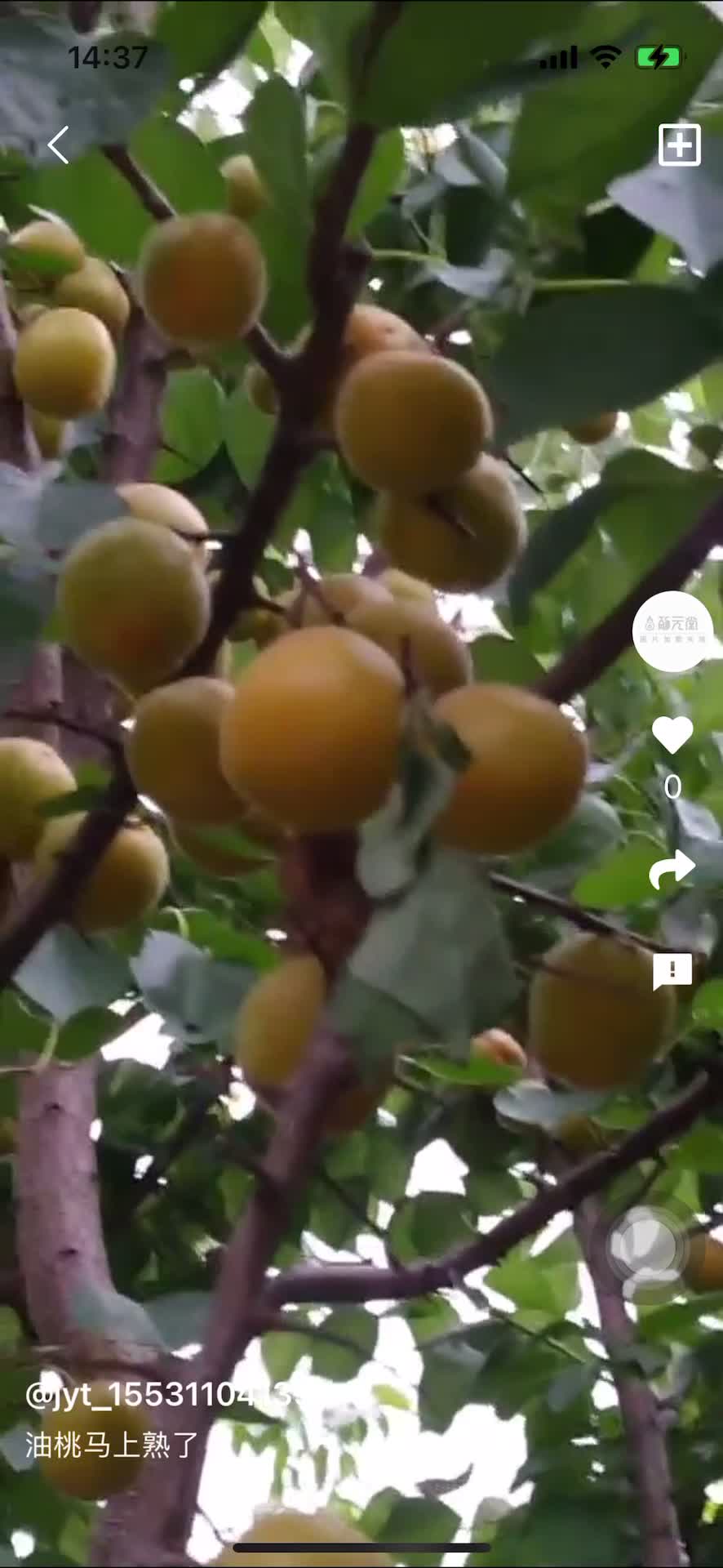 移动