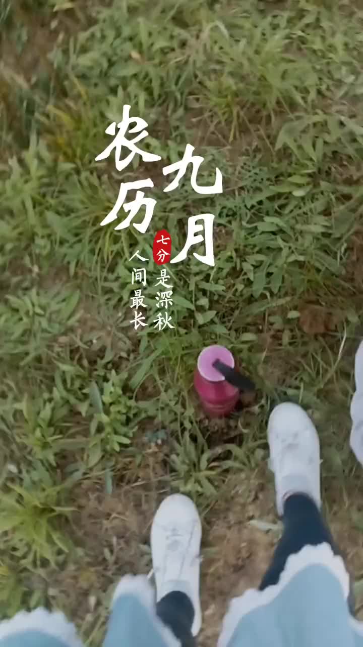 L散