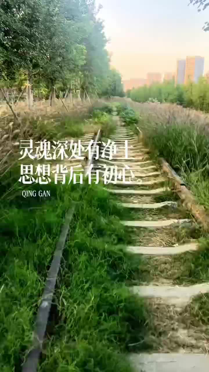 大自然的美永远超出你的想像，狗尾巴草也能挺拔的活出风彩
