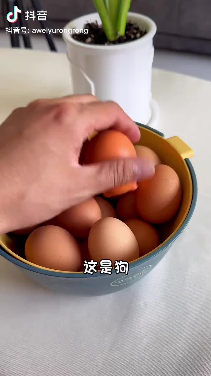 懵了，哈哈哈