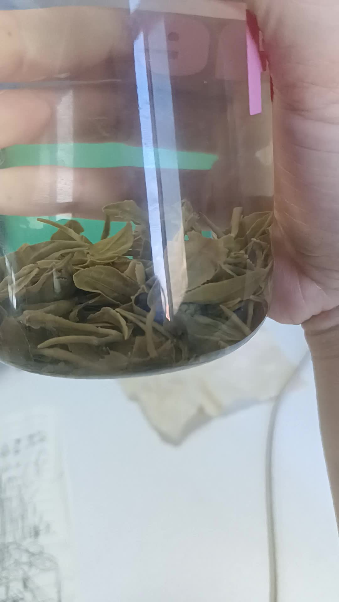 喝点绿茶🍵解解渴