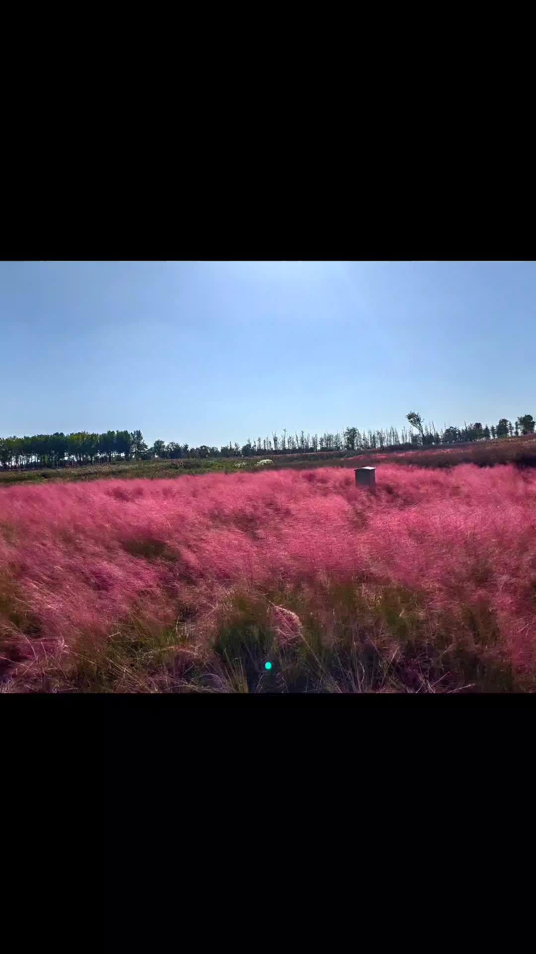 小城市的慢节奏生活